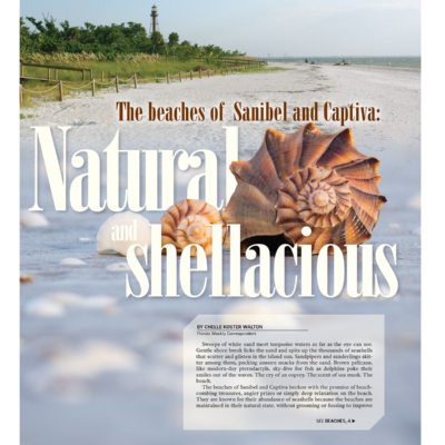 Newsletter Design