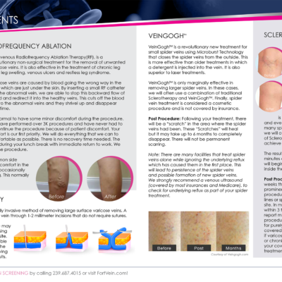 Brochure Concept